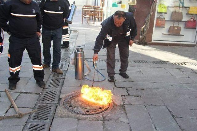 Bodrum’da Mazgal Ve Rögarlar İlaçlanıyor