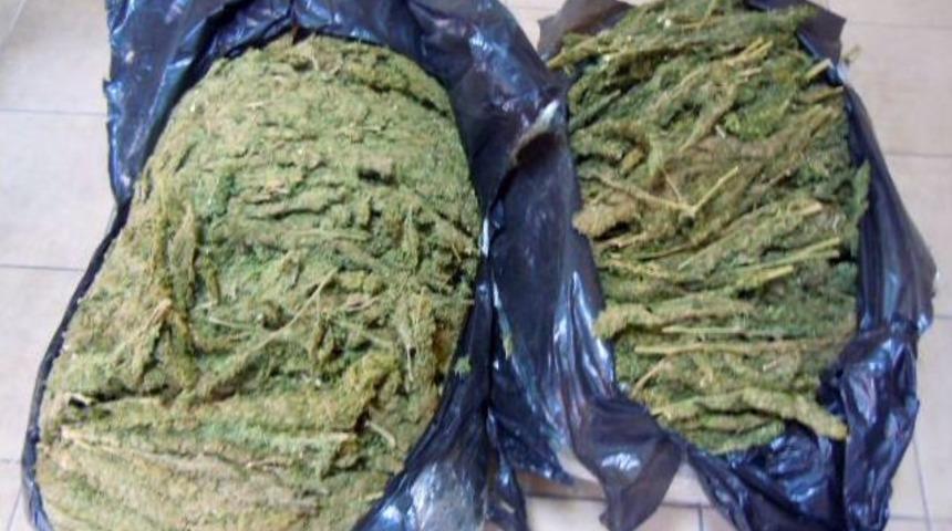 Tarsus&rsquo;ta 40 Kilo Esrar Ele Ge&ccedil;irildi