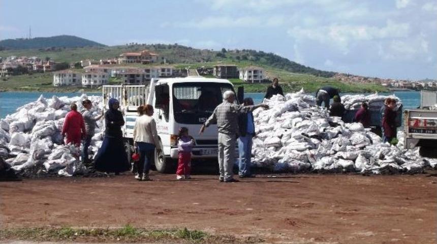 Ayvalık&rsquo;ta K&ouml;m&uuml;r Dağıtımı Devam Ediyor