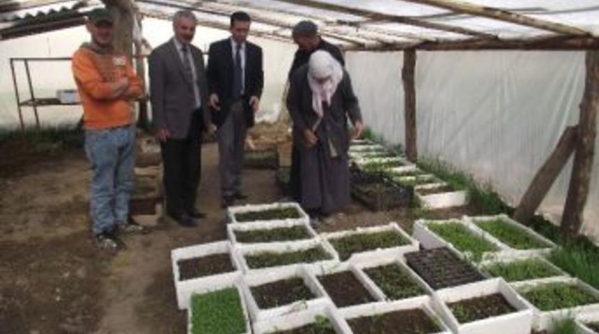 Kulu&rsquo;lu &Ccedil;ift&ccedil;i K&uuml;lt&uuml;r Mantarı &Uuml;retimine Başladı