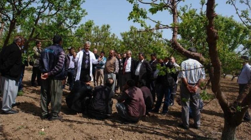 &Ccedil;ift&ccedil;ilere Alata İstasyonu Gezdirildi