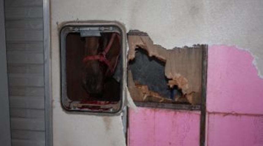 Uşak&rsquo;ta Trafik Kazası: 4 Insan Ve 4 Yarış Atı Yaralandı