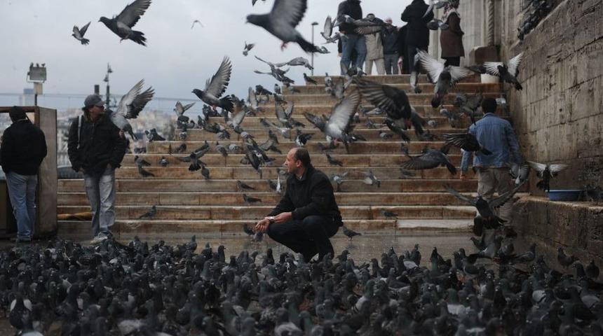&Ccedil;ocuklara Oyun, Yaşlılara U&ccedil;up Giden &Ouml;mr&uuml; Hatırlatır G&uuml;vercinler
