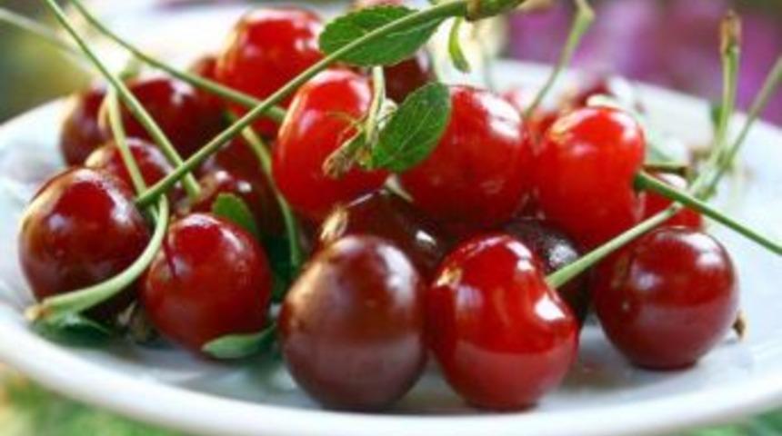 T&Uuml;TEV Afyonkarahisar'da 41 Bin Euroluk Proje Hazırladı