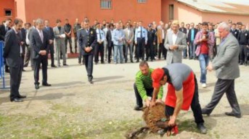 Polis Haftası Etkinlikleri Kurban Kesimi Ile Başladı