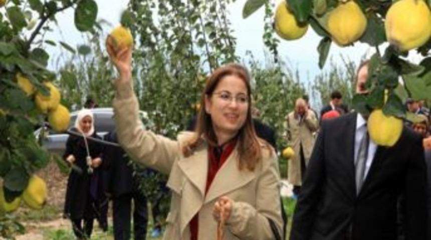 Milletvekili İslam&rsquo;dan M&uuml;jdeli Haber: &ldquo;karap&uuml;r&ccedil;ek&rsquo;e Ziraat Gelecek&rdquo;