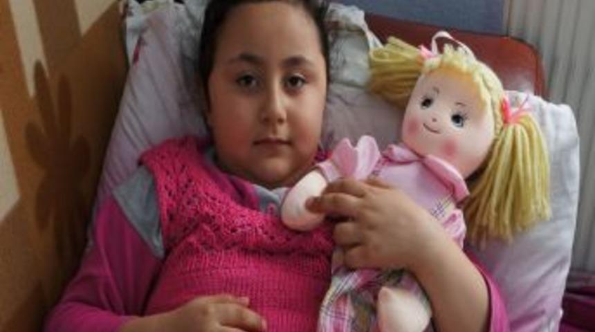 Sokak Köpekleri, 6 Yaşındaki Çocuğu Isırdı