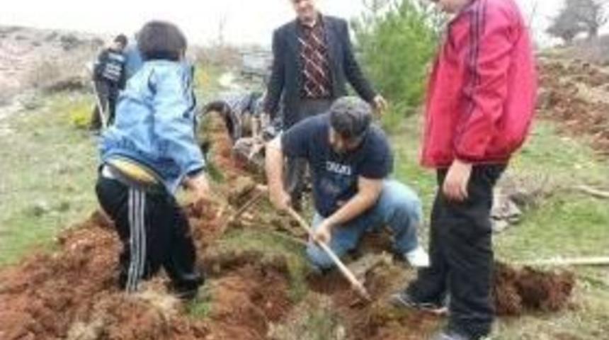 Bihder’den Hatıra Ormanı