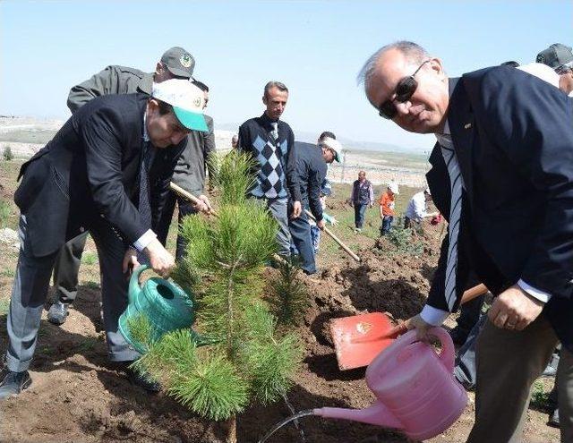 Agü’den 2. Geleneksel Ağaç Dikme Şenliği