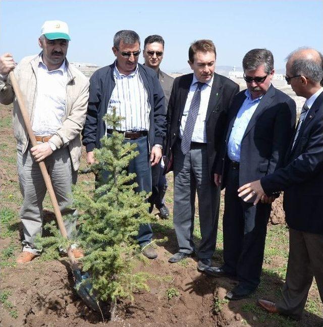 Agü’den 2. Geleneksel Ağaç Dikme Şenliği