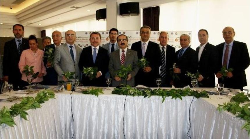 Adana'da Portakal &Ccedil;i&ccedil;eği Karnavalı Heyecanı