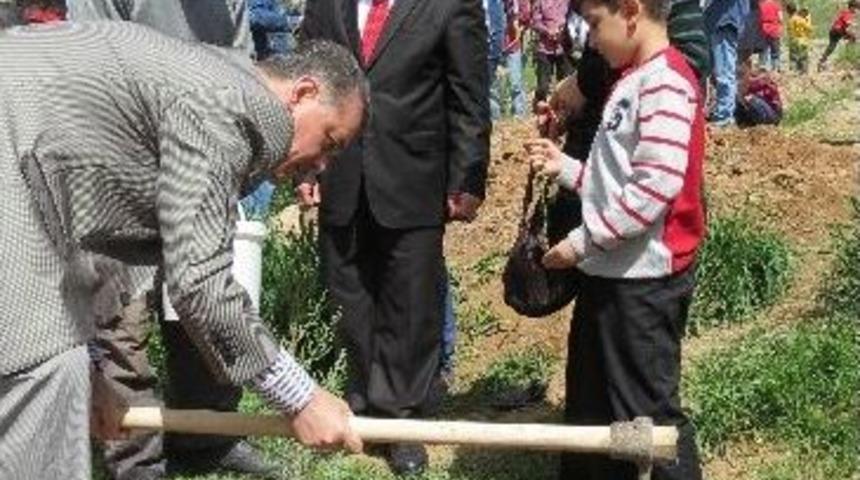 İpa Malatya Şubesinden Fidan Dikimi