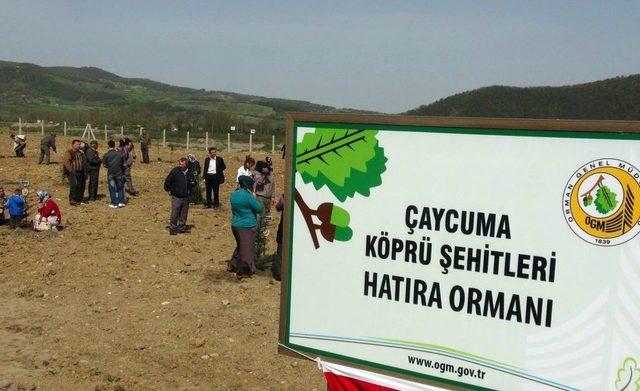 Köprü Faciasının Yıldönümünde, Danıştay'ın Kararıyla Ikinci Kez Yıkıldılar