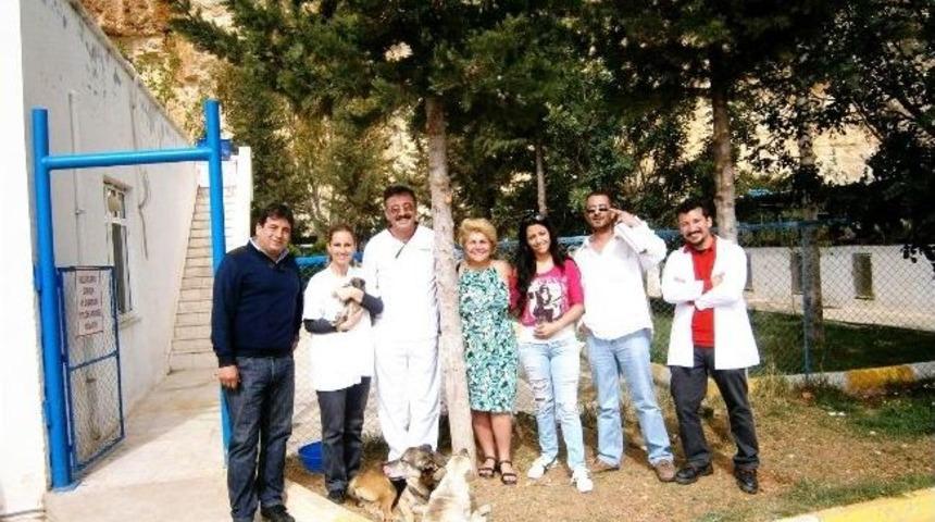 Dohayko, Mersin&rsquo;i De D&ouml;n&uuml;şt&uuml;r&uuml;yor