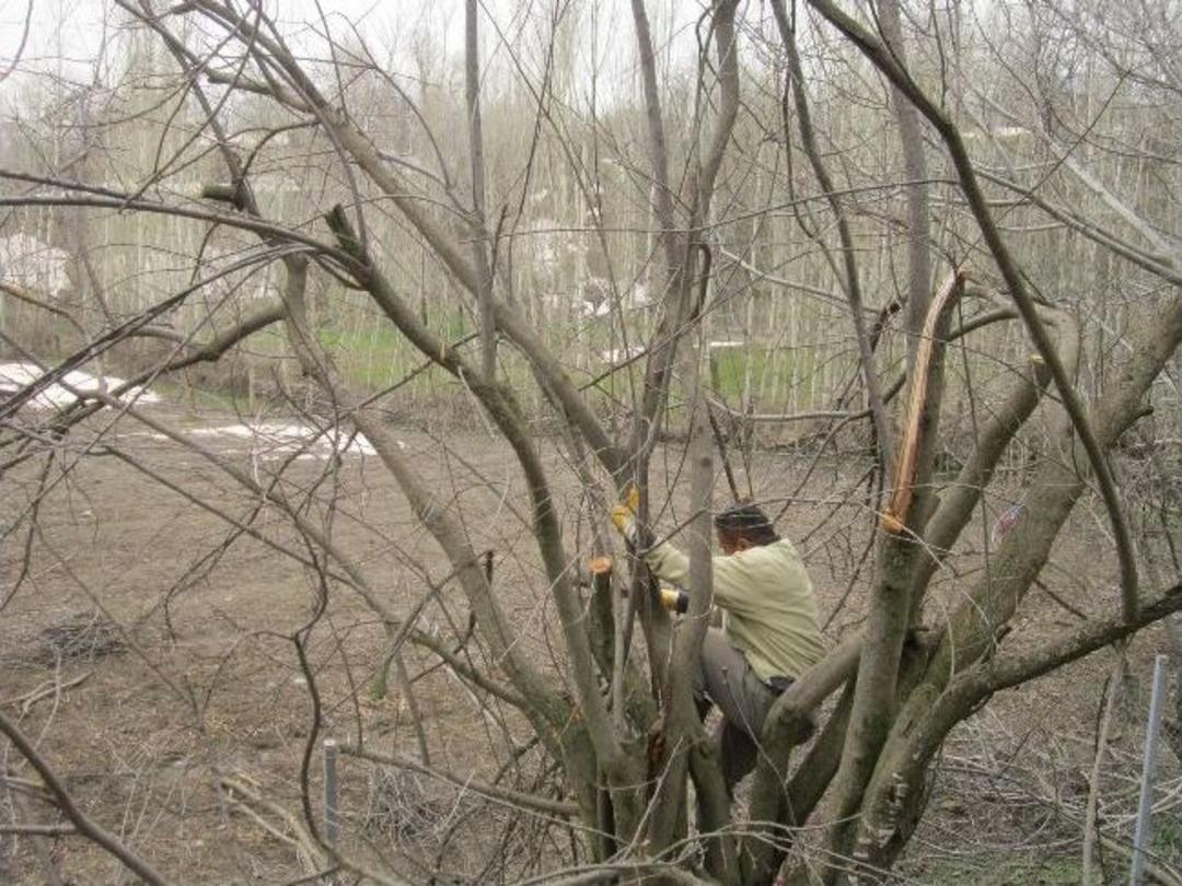 Kar Kalktı Zararı Da Ortaya &Ccedil;ıktı