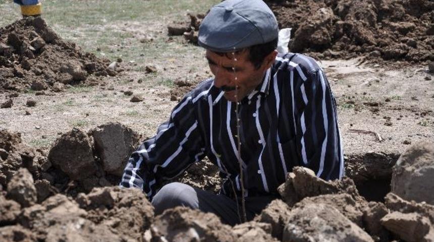 Bostani&ccedil;i Beldesinde Fidan Dikimi