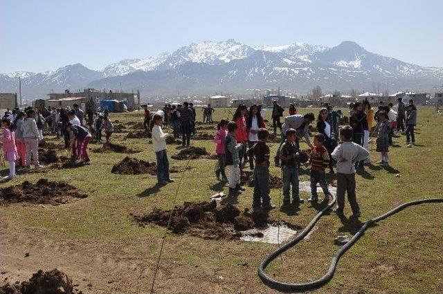 Bostaniçi Beldesinde Fidan Dikimi