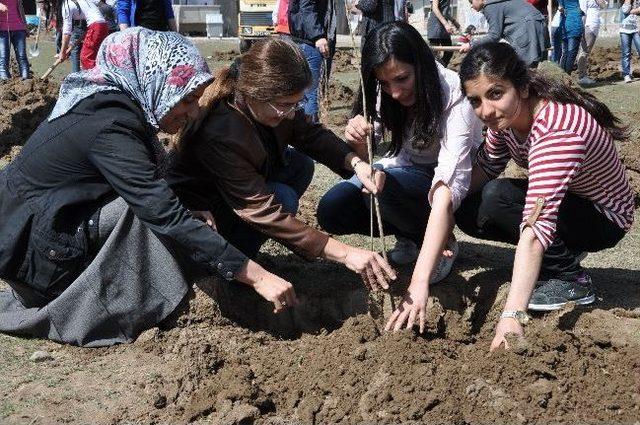 Bostaniçi Beldesinde Fidan Dikimi