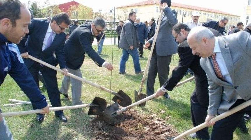 Bolvadin&rsquo;de H&uuml;k&uuml;ml&uuml;ler Ve &Ouml;ğrenciler Fidan Dikti