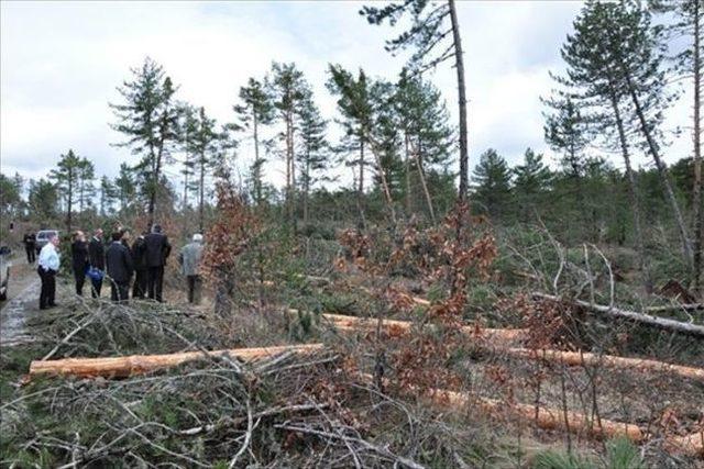 Genel Müdür Yardımcısı Temir, Kastamonu’ya Geldi