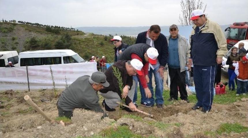 Vali Daş&ouml;z, Vergi Dairesi Personeliyle Uncubozk&ouml;y&rsquo;de Fidan Dikti