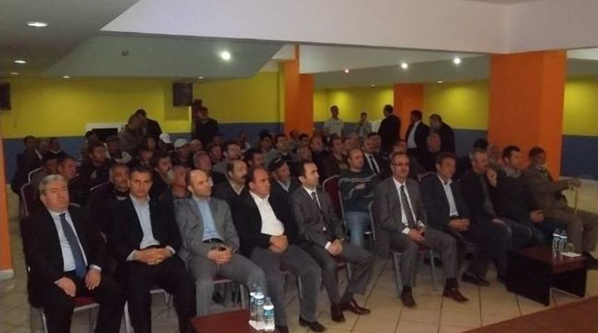 Demir&ouml;z&uuml; İl&ccedil;esi Karadeniz B&ouml;lgesinin Kaba Yem &Uuml;retim &Uuml;ss&uuml; Haline Geliyor