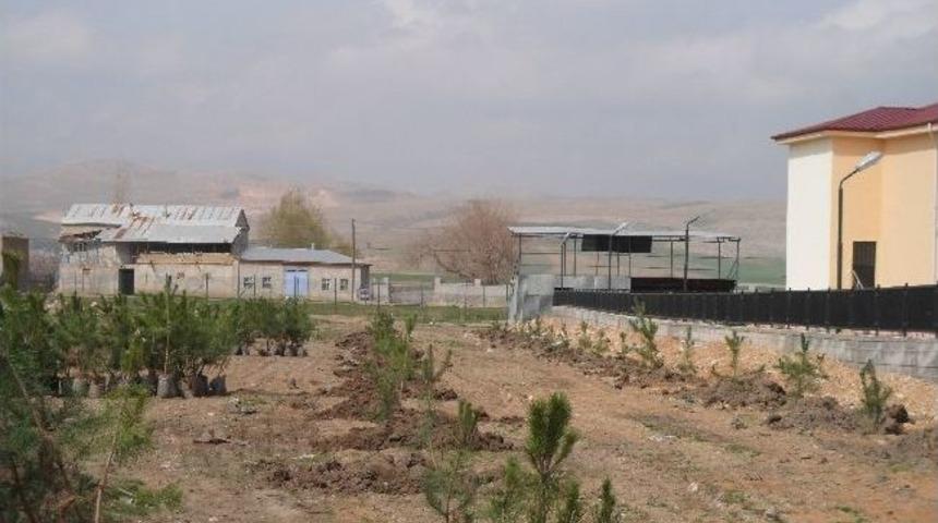 Akbayır Beldesine Yeşil Kuşak