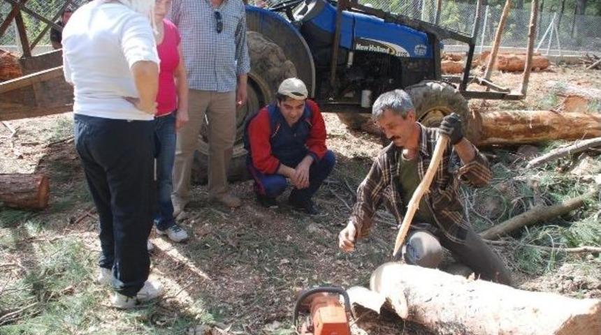Karaisalı&rsquo;da Kamalak Keyfi
