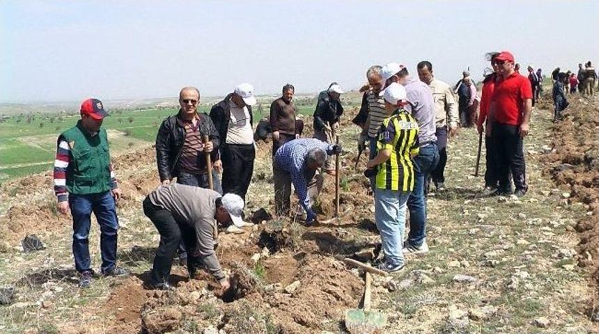 Beyşehir&rsquo;de Ağa&ccedil; Dikme Ş&ouml;leni