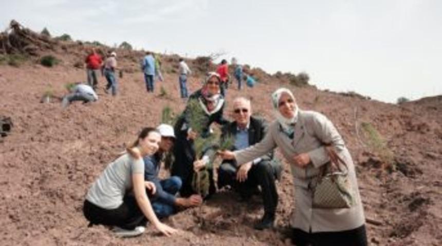 Y&uuml;zlerce Fidan Toprakla Buluştu