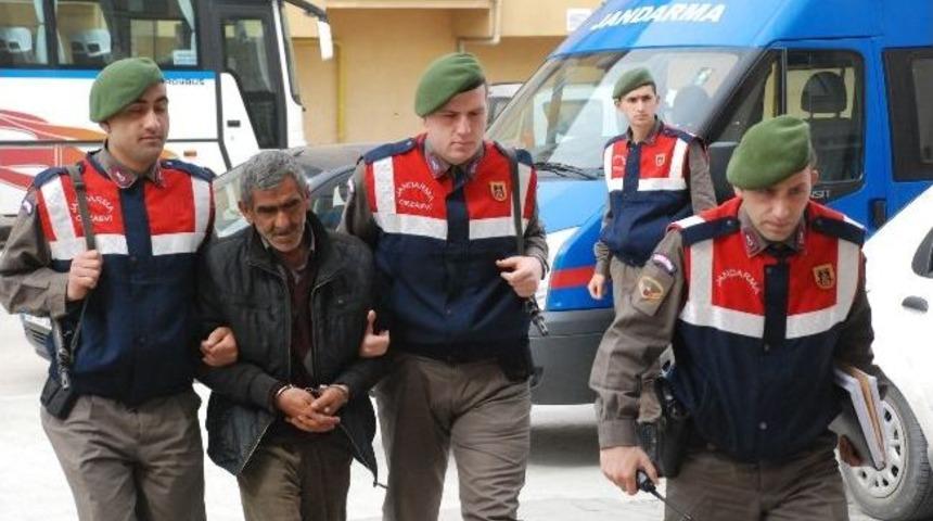 &Ccedil;alınan Koyunlar Feribot İskelesinde Yakalandı