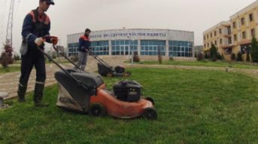 &Ccedil;imlerin Bakım Ve Temizliği Yapılıyor
