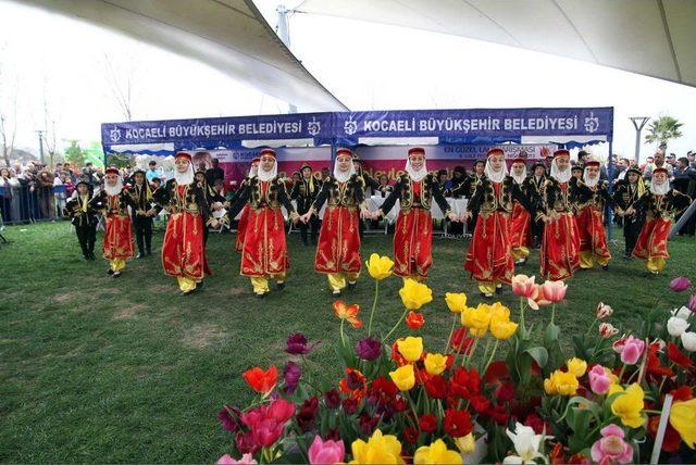 Kocaeli'nde En Güzel Lale Yarışması Renkli Görüntülere Sahne Oldu