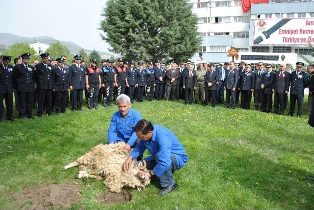 Amasya&rsquo;da Polisler Kurban Kesti