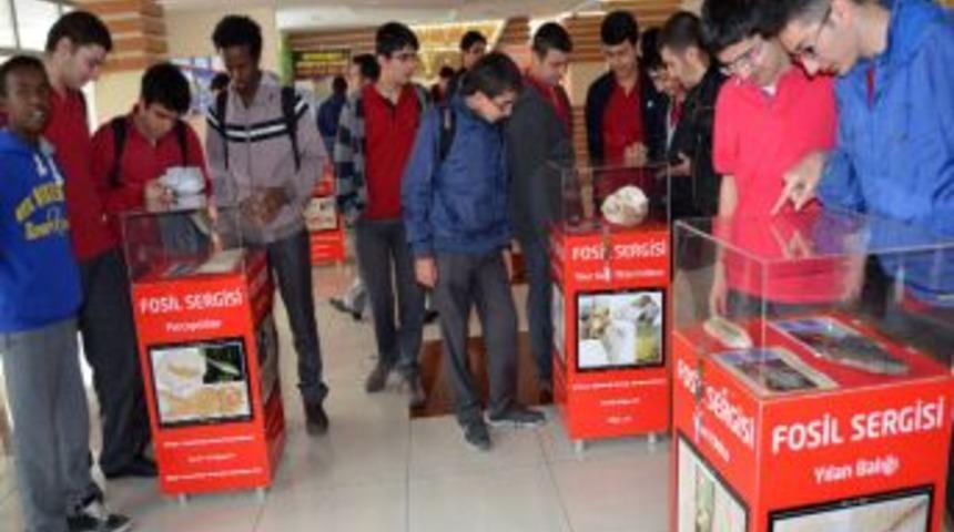 Fosil Sergisi A&ccedil;ıldı