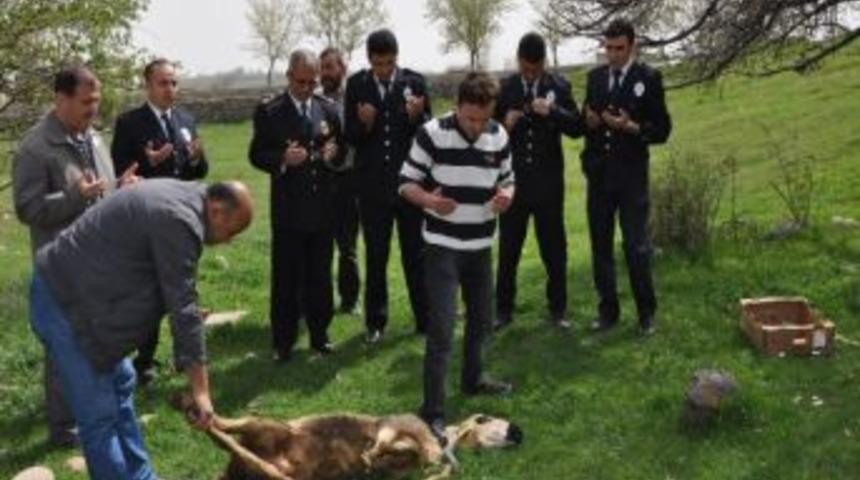 Suşehri Emniyet M&uuml;d&uuml;rl&uuml;ğ&uuml; Kurban Kesti
