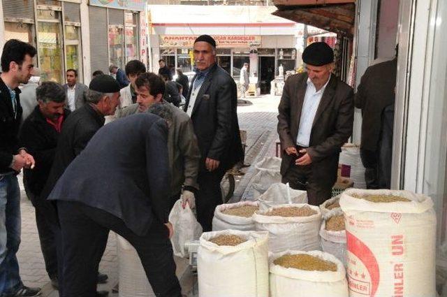 Van’da Tohum Alımı Başladı