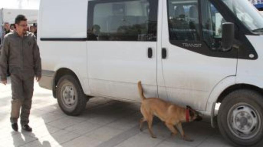 Polis Sergisinde Cankız, Uyuşturucuyu 3 Dakikada Buldu
