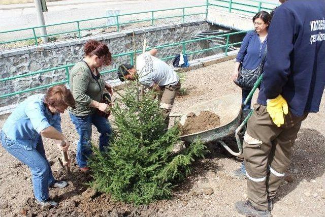 Kdz. Ereğli Belediyesinden Uygulamalı Bahçıvanlık Kursu