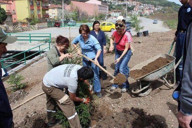 Kdz. Ereğli Belediyesinden Uygulamalı Bahçıvanlık Kursu