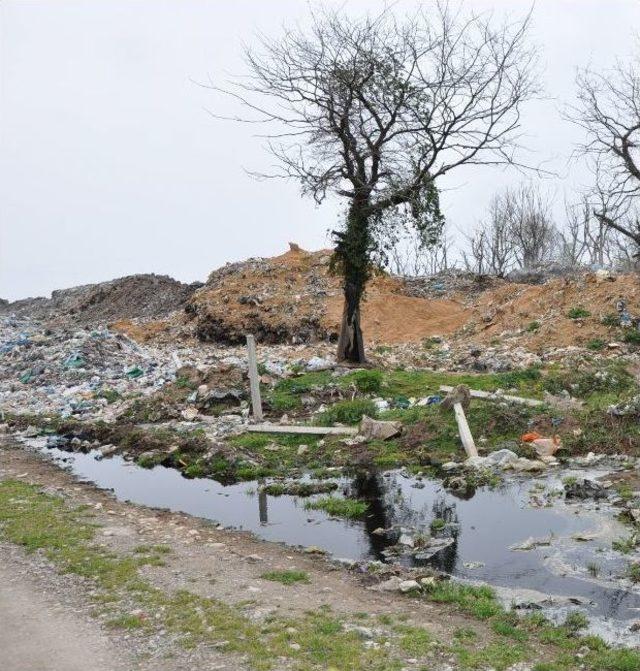 Sinop'taki Eski Çöplük Tehlike Saçıyor