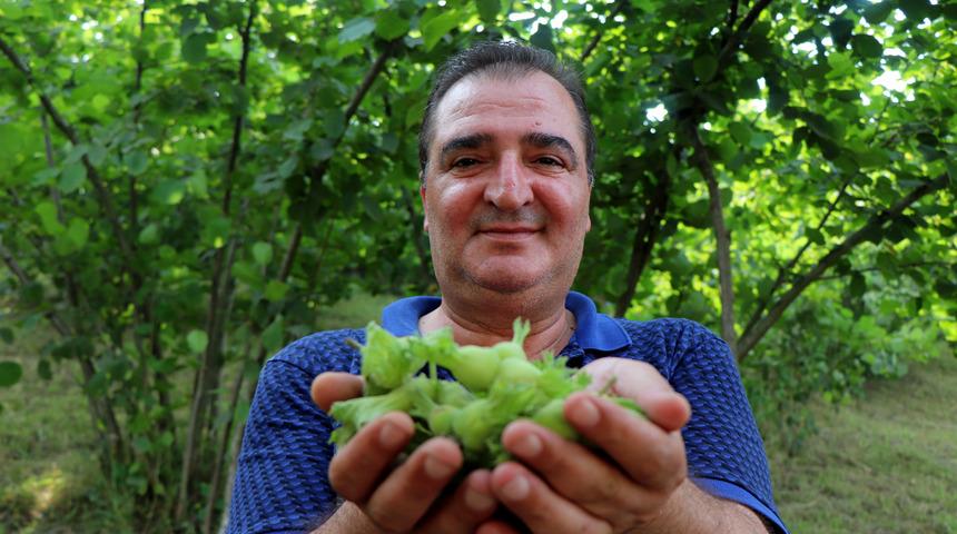 Arslantürk: Üretici fındığı piyasaya kontrollü indirmeli