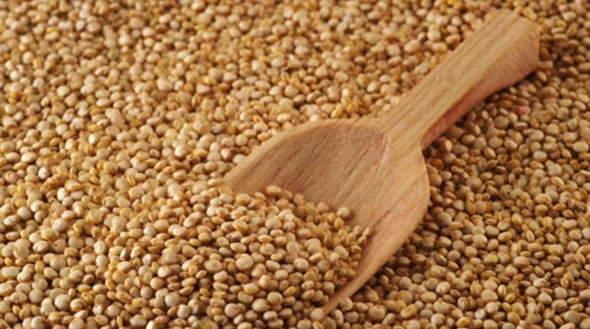 Kinoa 10 kilo ete eşdeğer bir besin!