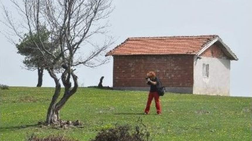 Doğada G&ouml;r&uuml;nt&uuml; Avcıları Niksar&rsquo;da Buluşacak
