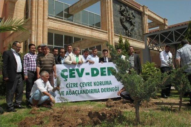 Cizre Çev-der 50 Fidanı Toprakla Buluşturdu