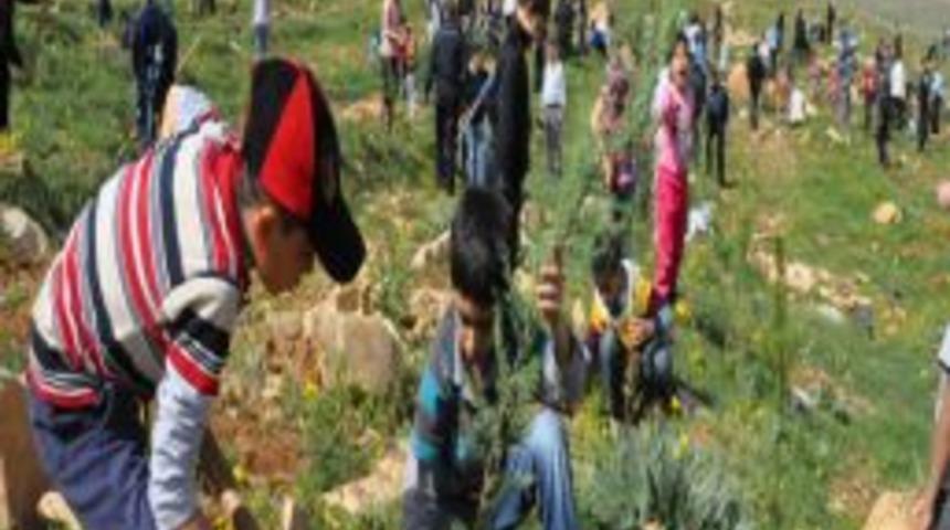Artuklu &Uuml;niversitesi Kamp&uuml;s&uuml;n&uuml;n Ağa&ccedil;landırılmasına Emniyetten Destek