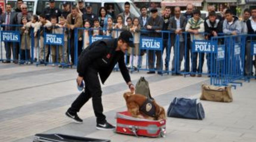 Eğitilmiş Polis K&ouml;pekleri K-9'lar G&ouml;steri Yaptı