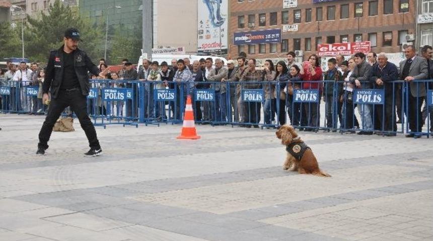 Polis K&ouml;peklerinin G&ouml;sterisi Nefes Kesti