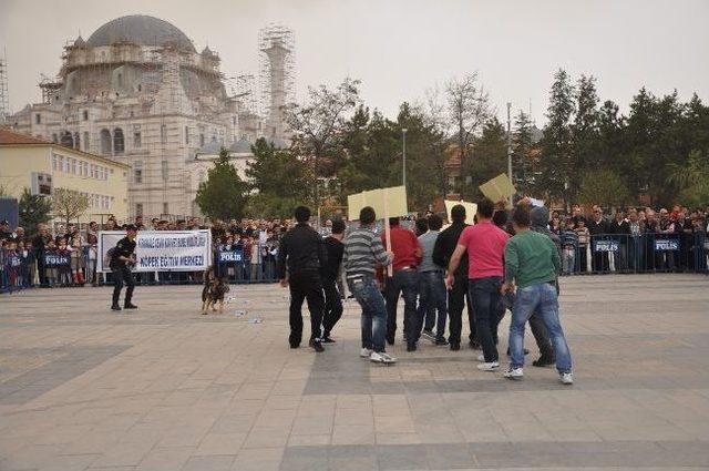 Polis Köpeklerinin Gösterisi Nefes Kesti