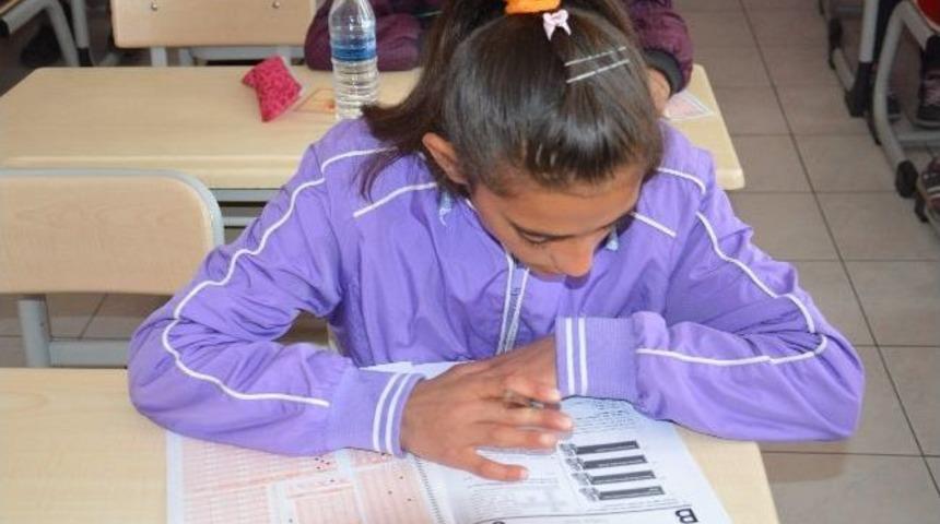 Karslı &Ouml;ğrenciler Kars Matematik T&uuml;rk&ccedil;e Olimpiyatlarında Yarıştı